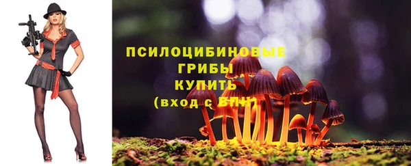 МДПВ Арсеньев