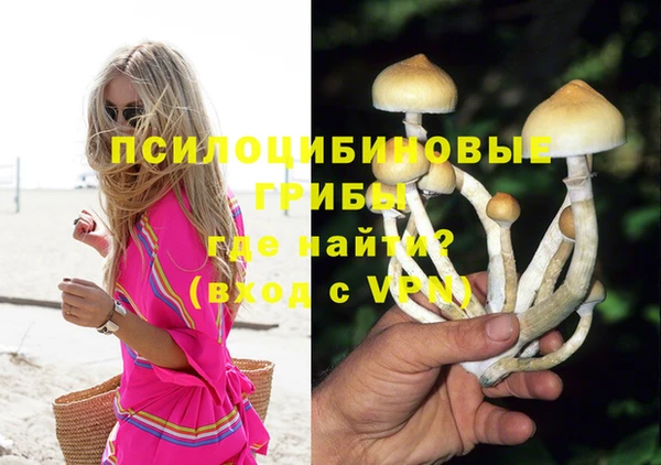 МДПВ Арсеньев