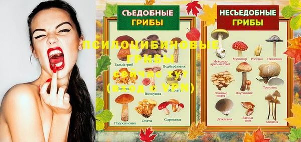 кокаин перу Алзамай