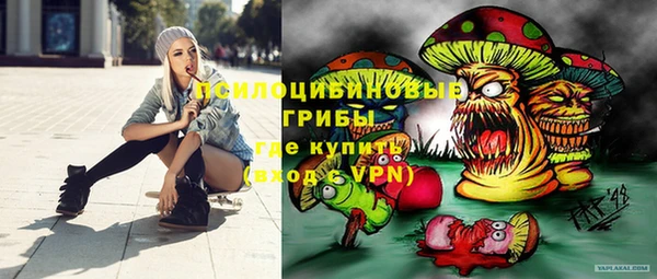 сатива Рославль