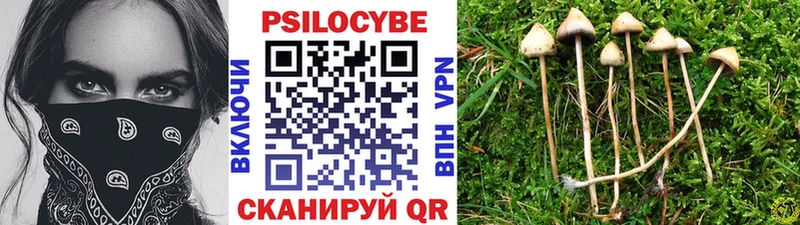 где купить   Октябрьск  Галлюциногенные грибы Psilocybine cubensis 